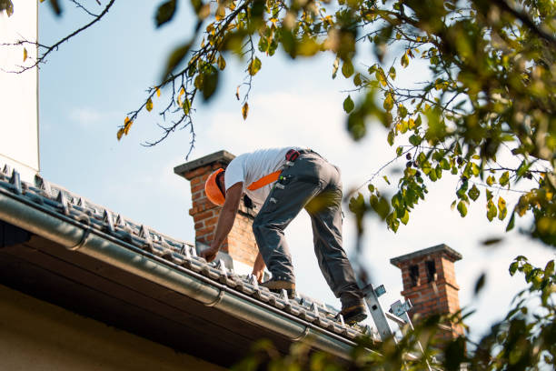 Best New Roof Installation  in Gillett, WI