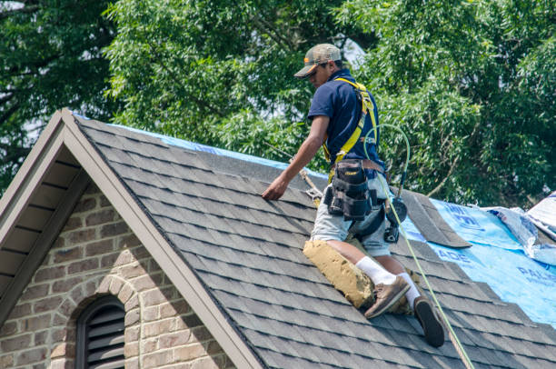 Best Roofing Contractor Near Me  in Gillett, WI