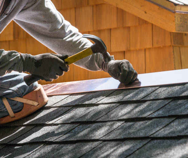 Best Roof Gutter Cleaning  in Gillett, WI